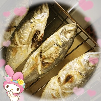 個人商店で買った魚を自分で焼く♡✧｡(⋈◍>◡<◍)｡✧♡