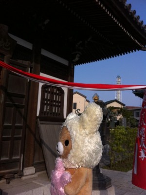 ご先祖様がいるから、今の自分がいて、ご先祖様をわかっていく、ありがたいね✿( ˘͈◡̈︎˘͈˶)♥