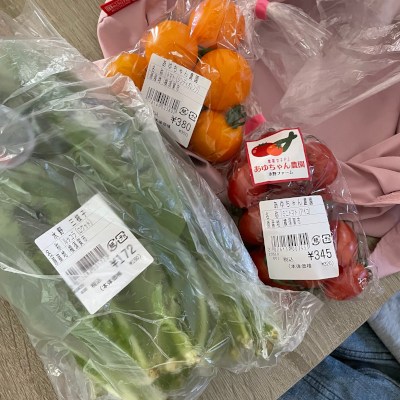 ♡三浦半島でも一部の地域は農薬・化学肥料そのものを使っていない有機栽培も増えてきている♡