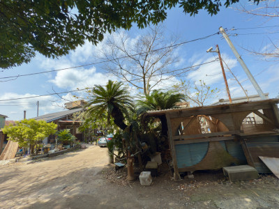 Welcome to the beach house - alive and alive(˶ ･ᴗ･ )੭⚐⚑