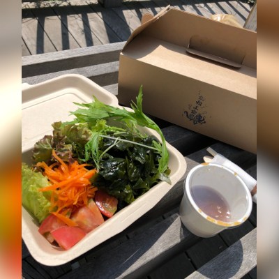 Gift from Hashirimizu