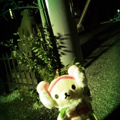 Korilakkuma: lovin' icy winter but missin' hot rice balls