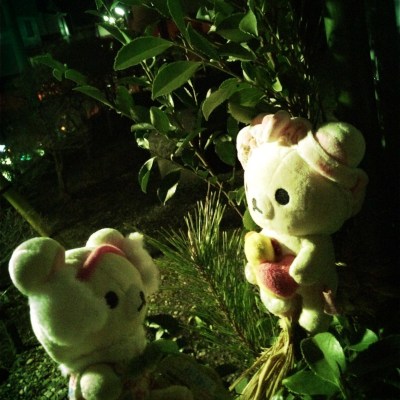 New year night by Rilakkuma(*˘꒳˘*)