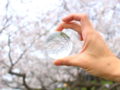 ✿Looking at the little world spinning round and round✿