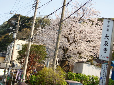 (˶ ･ᴗ･ )੭✿.*･