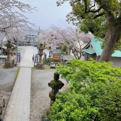 Warm bloom comes here...(*˘︶˘*).｡.:*♡