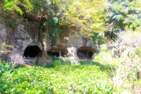Tombs seen nearby the bamboo garden٩(｡•ω•｡*)و