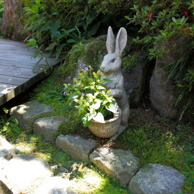 Hi, Peter Bunny! Nice to meet you.