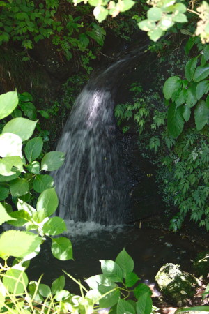 ✩°｡⋆〜〜٩( ˶´꒳`˶ )۶〜〜.。.:*