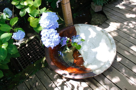 Swimming hydrangea♡〜٩(*´꒳`*)۶〜♡