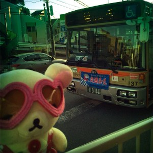 Buses are also ENODEN.