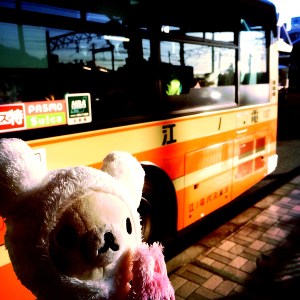 As long as buses are...