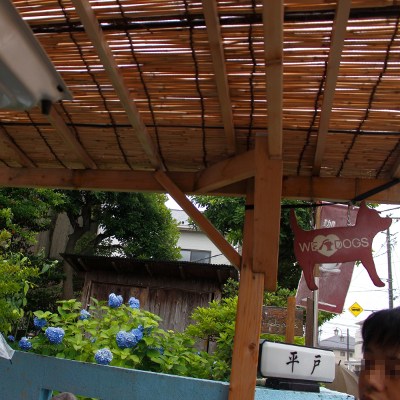 Heart-shaped hydrangea♡