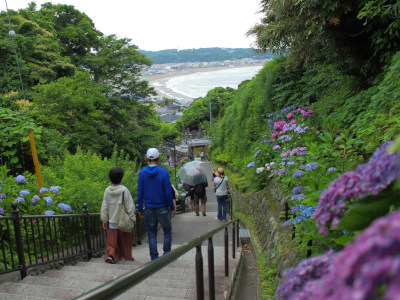 Yuigahama From Hydrangea in Jojuin Temple