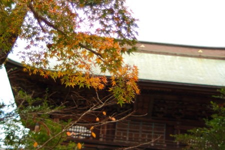 Praying for the victim from battle of Mongolian by Tokimune Hojo