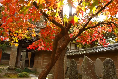 Hundred Kannon(⑉  ॢ• •  ॢ⑉)❤︎