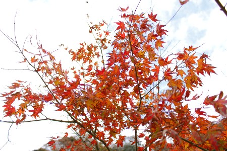 Not good in this year