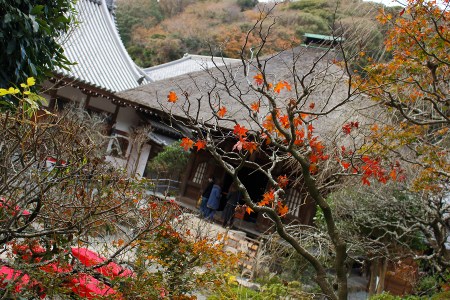 The principal enshrined, Hojo Tokimune