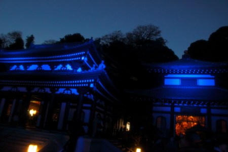 "The cold blue Hasedera"