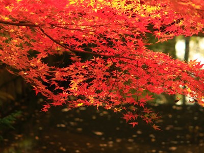 Love it, ain't I? :)