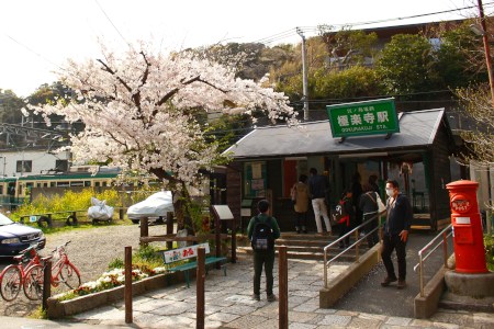 Gokurakuji St.(♡ơ ₃ơ)