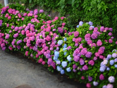 (˶ ･ᴗ･ )੭⑅*⋆｡˚✩.*･ﾟ