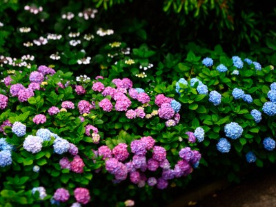 (˶ ･ᴗ･ )੭⑅*⋆｡˚✩.*･ﾟ