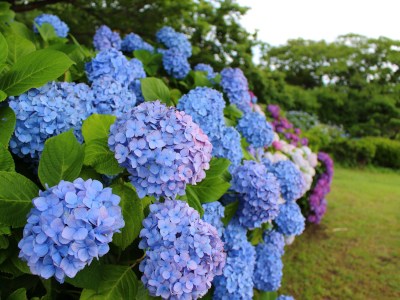 (*˘ᗜ˘*).｡.:*♡