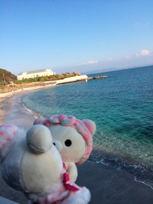 ♡｡ﾟ.(*♡´◡` 人´◡` ♡*)ﾟ♡ °･