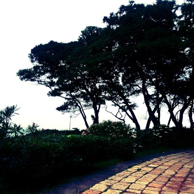 Little summer walk(*´꒳`*)