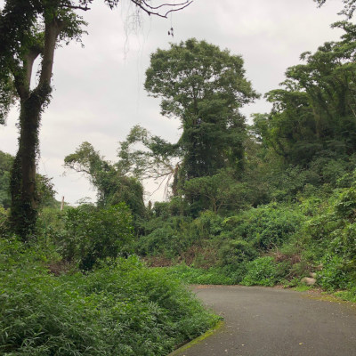 Going to the summer beach with the slope down