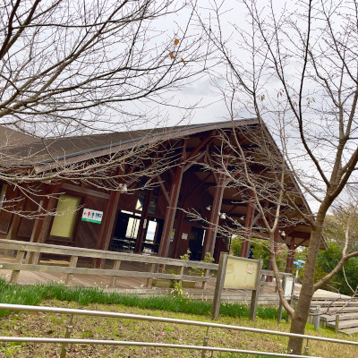 The lodge in the forest