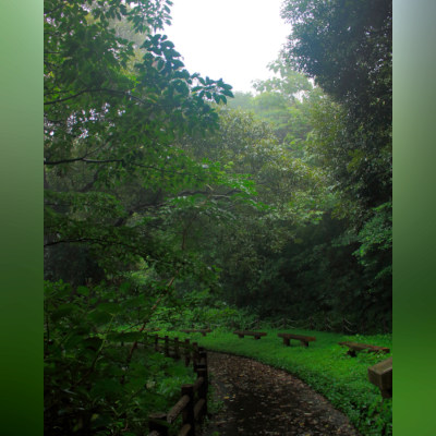 ☁Oh my... mystical world!!☁