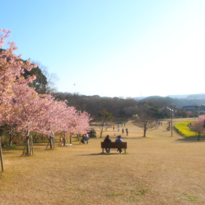 (˶ ･ᴗ･ )੭✿.*･