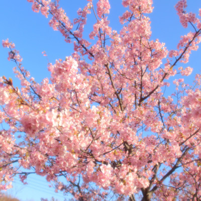 (˶ ･ᴗ･ )੭✿.*･