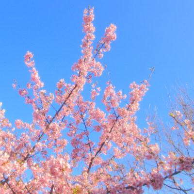 (˶ ･ᴗ･ )੭✿.*･