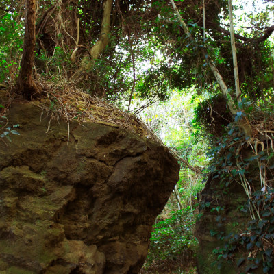 The cliff worth for adventure