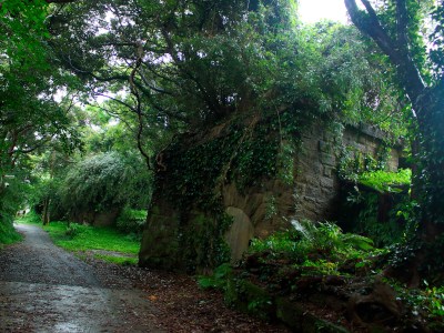 North second battery ruins(*˘ᗜ˘*).｡.:*♡