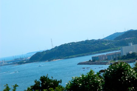 Miura peninsula view for the south and east °ʚ(*´꒳`*)ɞ°.