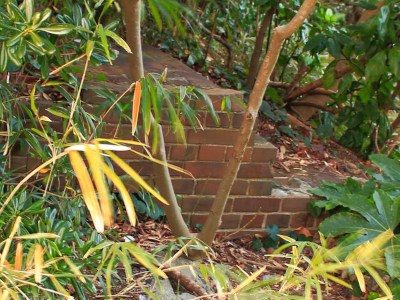 Hidden bricks of English assembly bond