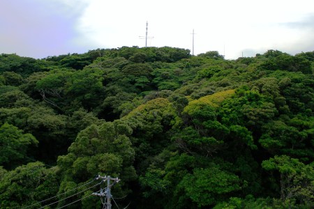 Like a little bird!!