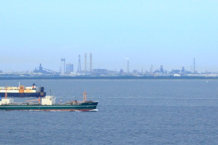 Like a little bird!! ✩°｡⋆⸜(* ॑꒳ ॑* )⸝