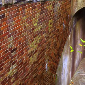 Bricks assembled by English bond(*´꒳`*)