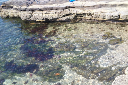 Soft transparent glass of Xamoscki sea.(*˘︶˘*).｡.:*♡