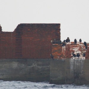Bricks in Chiyogasaki