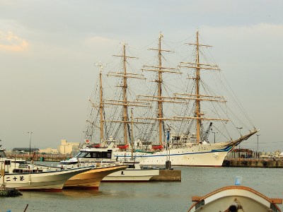 Sail Training Ship - Nippon Maru at Kurihama Port