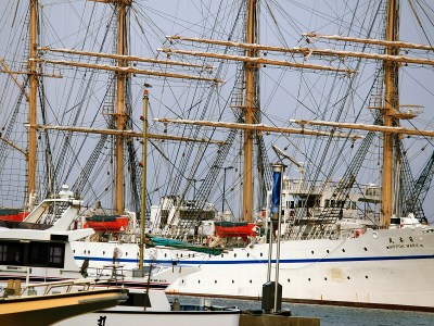 Sail Training Ship - Nippon Maru at Kurihama Port - Many ropes