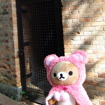 My name is Squiteeddia꒰ᐢ⸝⸝• ·̭ •⸝⸝ᐢ꒱ Here vintage bricks world. So wanna make art works of bricks.