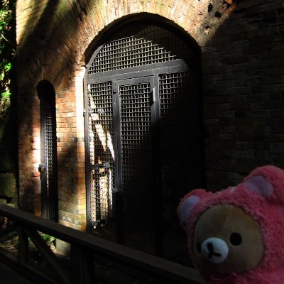 Squirre squirre꒰ᐢ⸝⸝• ·̭ •⸝⸝ᐢ꒱