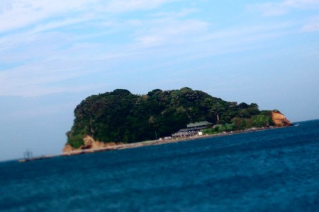 Welcome to Animal Crossing New Horizons?? (´ ｡•ω•｡)っ⌒♡｡．